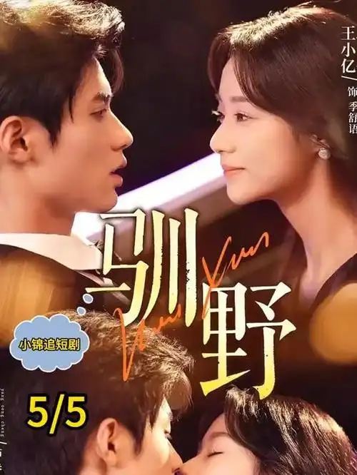 第七个证人